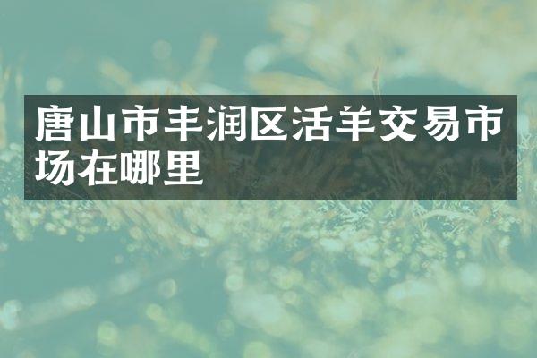 唐山市丰润区活羊交易市场在哪里