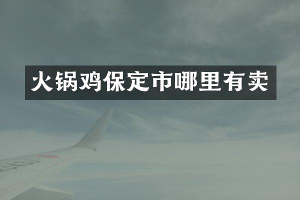 火锅鸡保定市哪里有卖