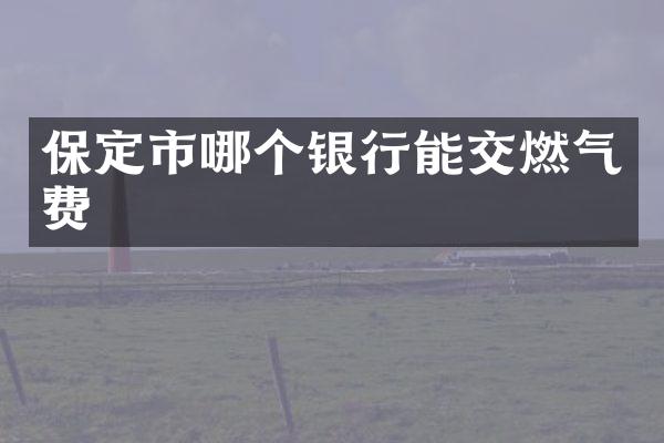 保定市哪个银行能交燃气费