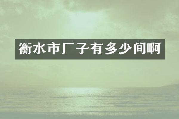 衡水市厂子有多少间啊