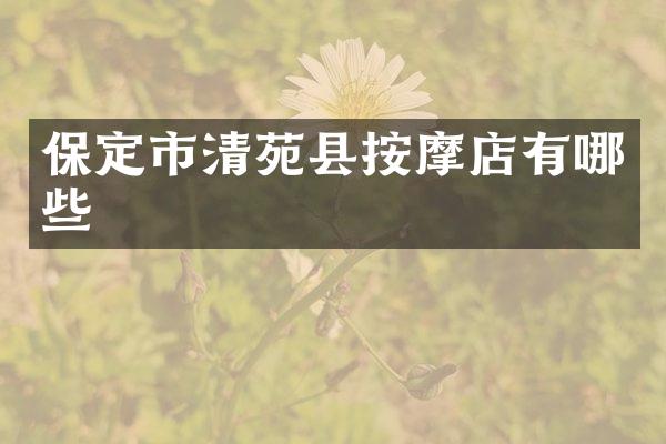 保定市清苑县按摩店有哪些