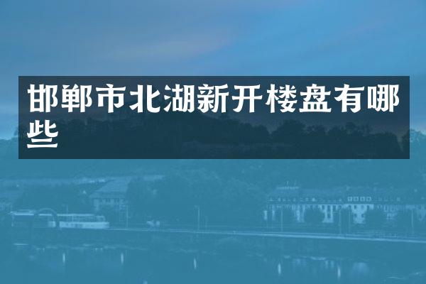邯郸市北湖新开楼盘有哪些