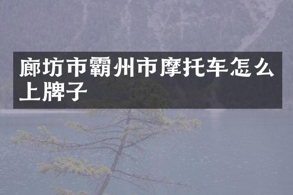 廊坊市霸州市摩托车怎么上牌子
