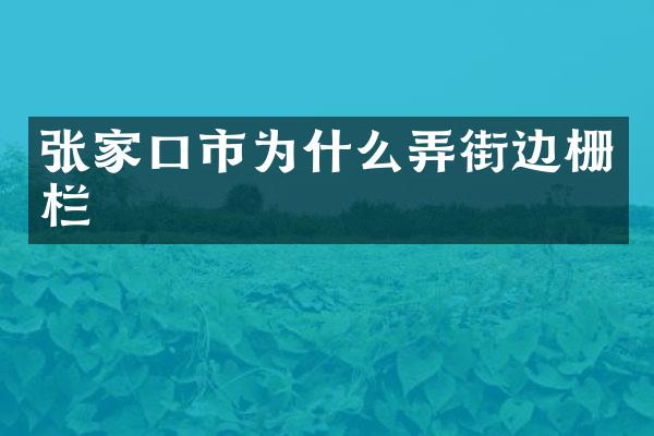 张家口市为什么弄街边栅栏