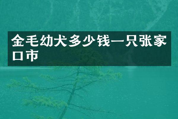 金毛幼犬多少钱一只张家口市