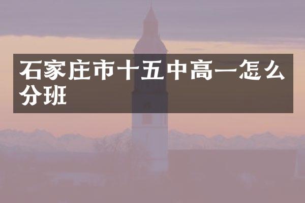 石家庄市十五中高一怎么分班