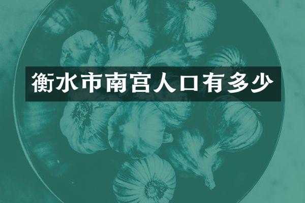 衡水市南宫人口有多少