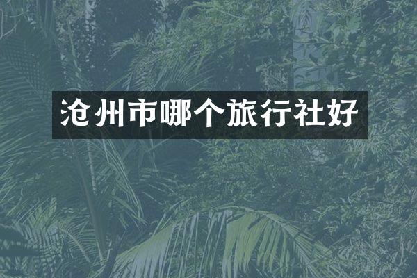 沧州市哪个旅行社好