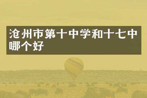 沧州市第十中学和十七中哪个好