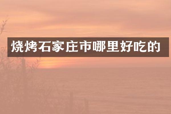 烧烤石家庄市哪里好吃的