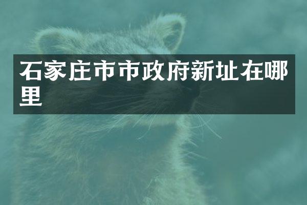 石家庄市市政府新址在哪里