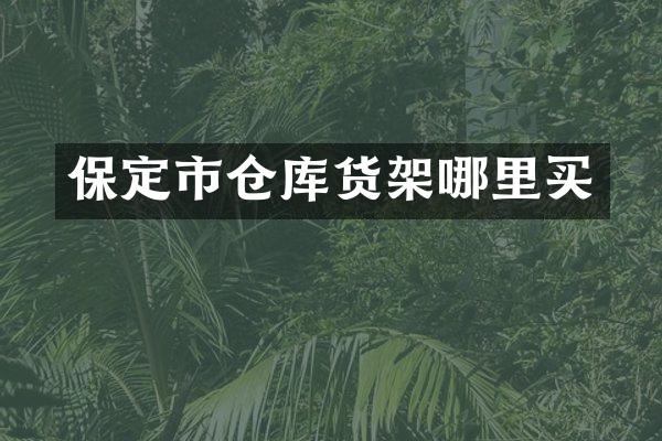 保定市仓库货架哪里买