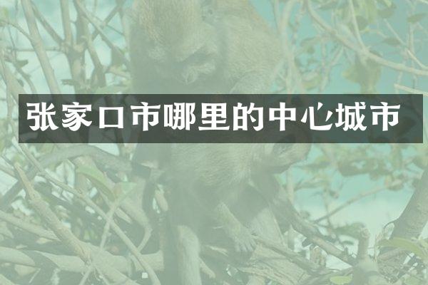张家口市哪里的中心城市