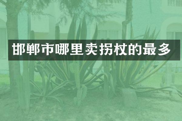 邯郸市哪里卖拐杖的最多