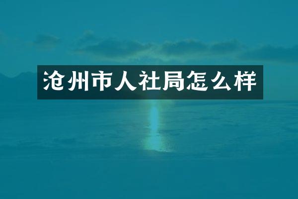 沧州市人社局怎么样