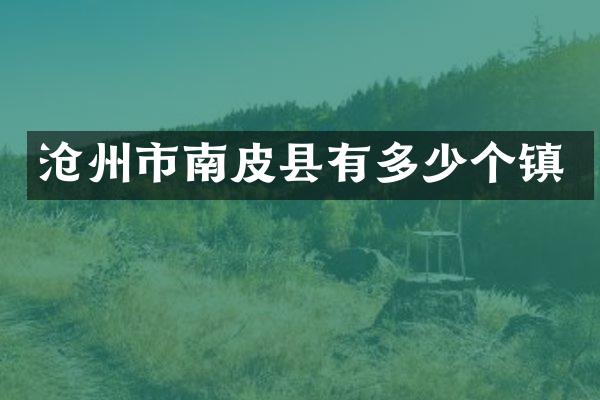 沧州市南皮县有多少个镇