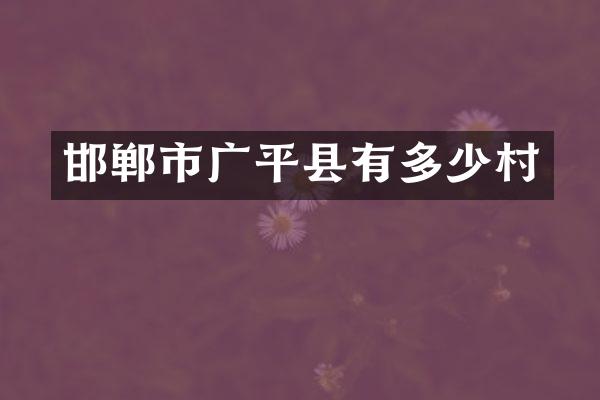 邯郸市广平县有多少村