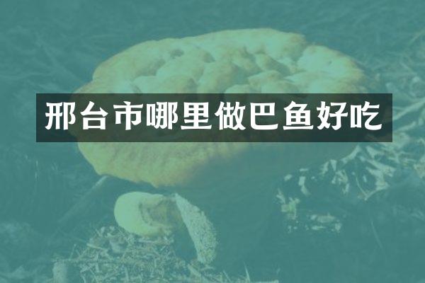 邢台市哪里做巴鱼好吃