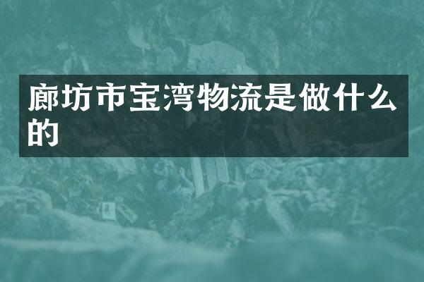 廊坊市宝湾物流是做什么的