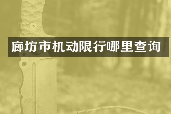 廊坊市机动限行哪里查询