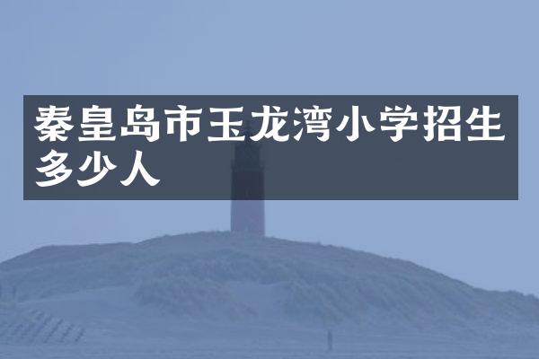 秦皇岛市玉龙湾小学招生多少人