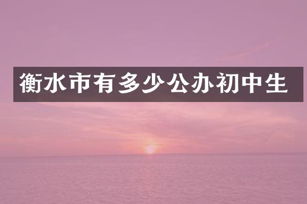 衡水市有多少公办初中生