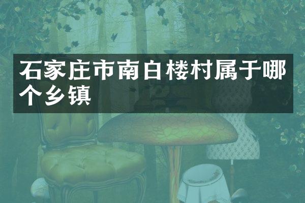 石家庄市南白楼村属于哪个乡镇