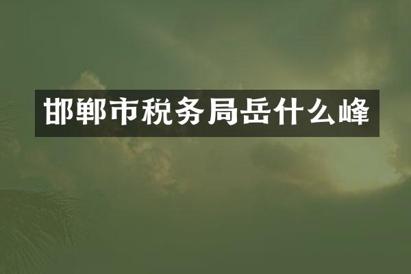 邯郸市税务局岳什么峰