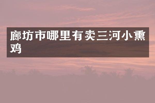 廊坊市哪里有卖三河小熏鸡