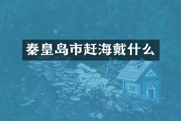 秦皇岛市赶海戴什么
