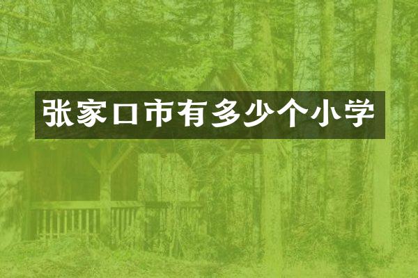 张家口市有多少个小学