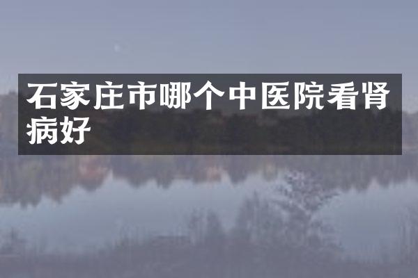 石家庄市哪个中医院看肾病好
