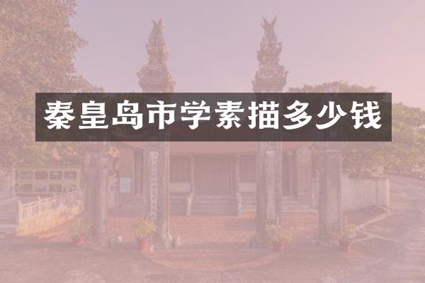 秦皇岛市学素描多少钱