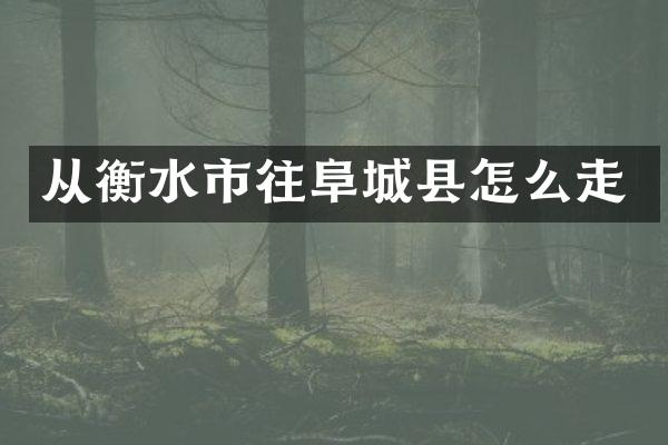 从衡水市往阜城县怎么走