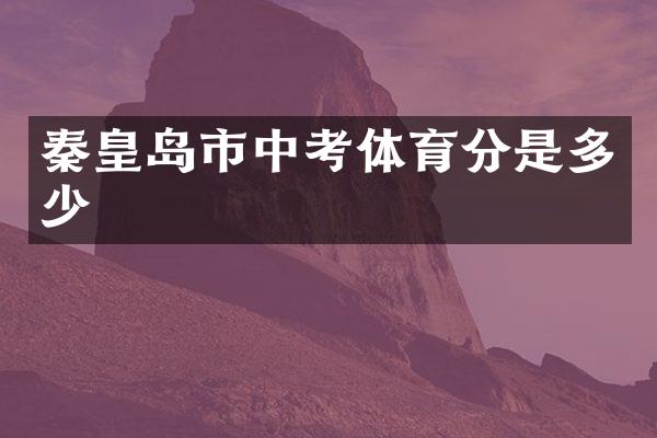 秦皇岛市中考体育分是多少