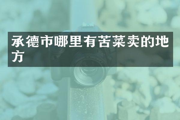 承德市哪里有苦菜卖的地方