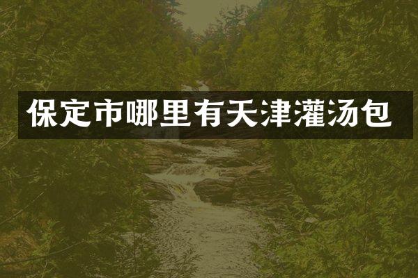 保定市哪里有天津灌汤包