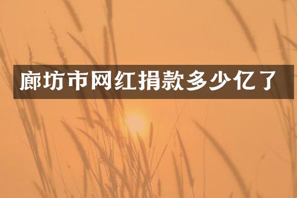 廊坊市网红捐款多少亿了
