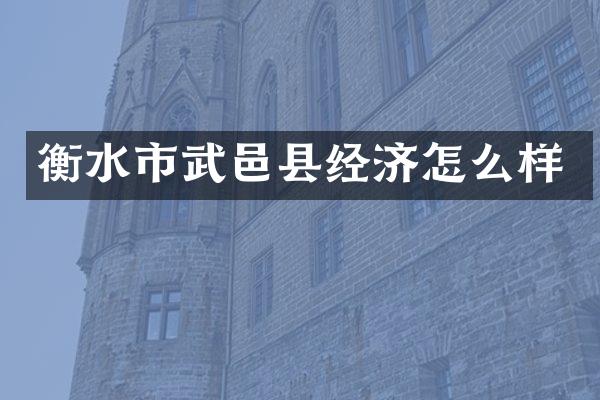 衡水市武邑县经济怎么样