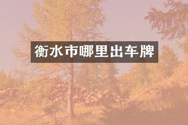 衡水市哪里出车牌