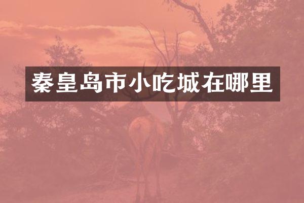 秦皇岛市小吃城在哪里