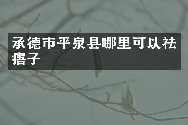 承德市平泉县哪里可以祛痦子