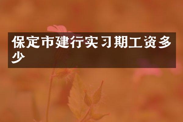 保定市建行实习期工资多少
