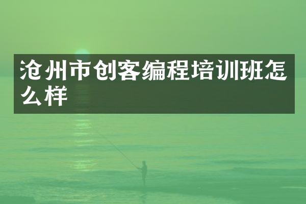 沧州市创客编程培训班怎么样