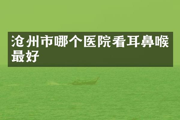 沧州市哪个医院看耳鼻喉最好