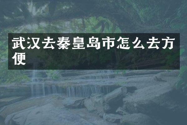 武汉去秦皇岛市怎么去方便