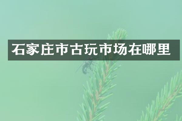 石家庄市古玩市场在哪里