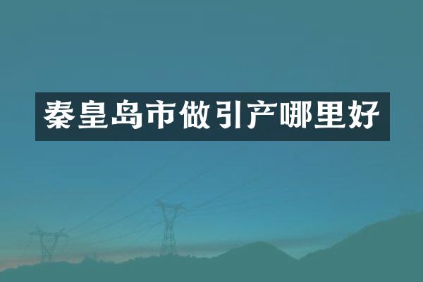 秦皇岛市做引产哪里好