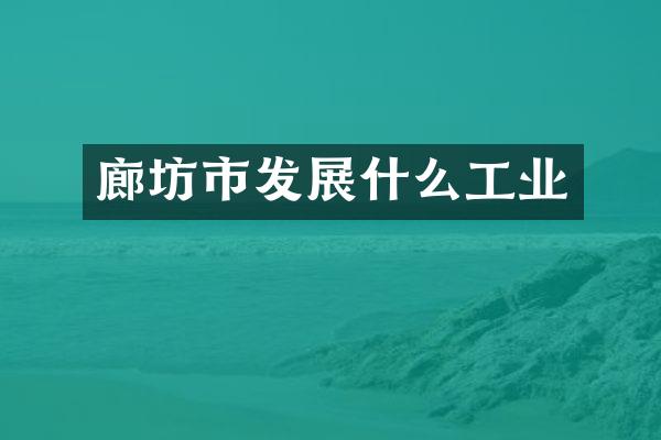 廊坊市发展什么工业