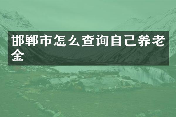 邯郸市怎么查询自己养老金